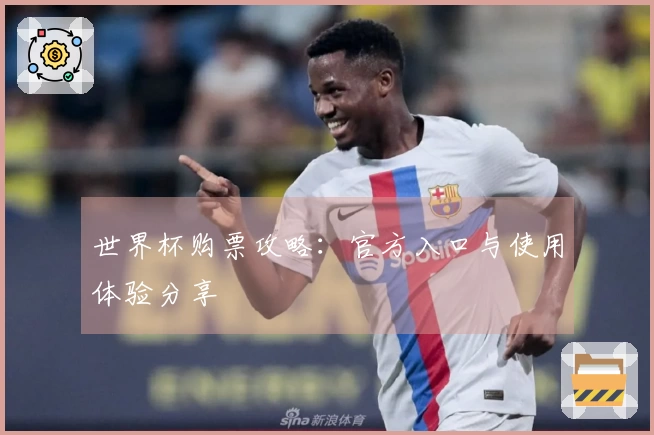 世界杯购票攻略：官方入口与使用体验分享