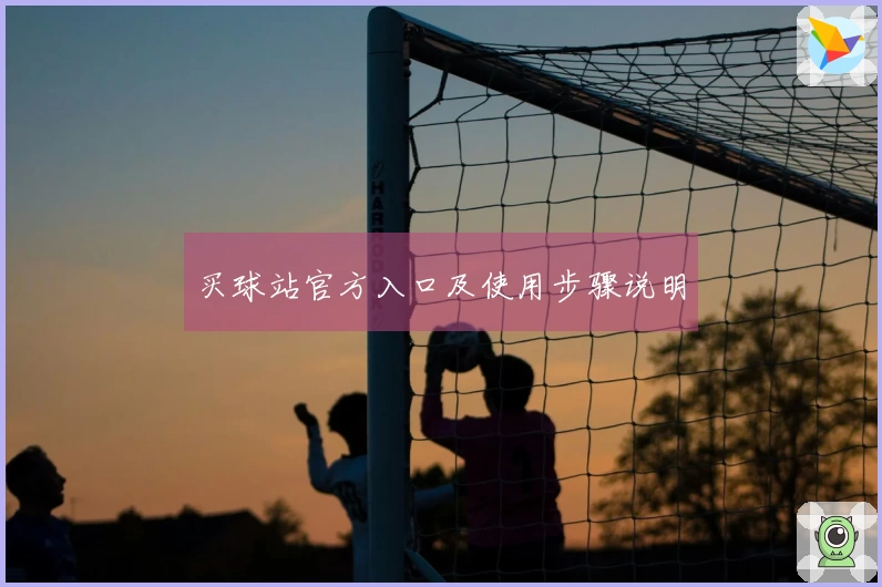 买球站官方入口及使用步骤说明