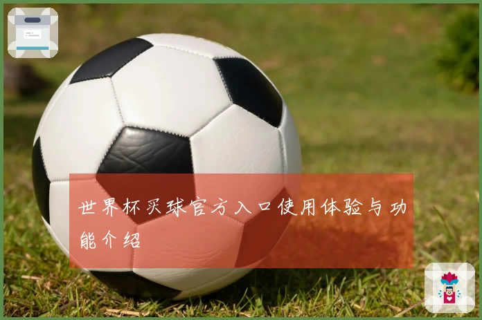 世界杯买球官方入口使用体验与功能介绍