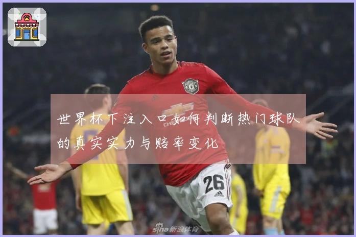 世界杯下注入口如何判断热门球队的真实实力与赔率变化