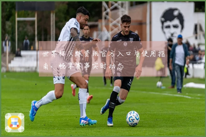 世界杯买球资讯官方入口与使用指南，畅享赛事实时动态