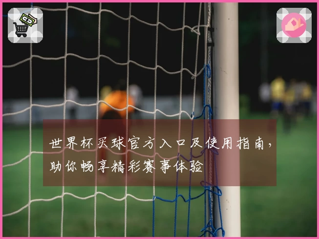 世界杯买球官方入口及使用指南，助你畅享精彩赛事体验