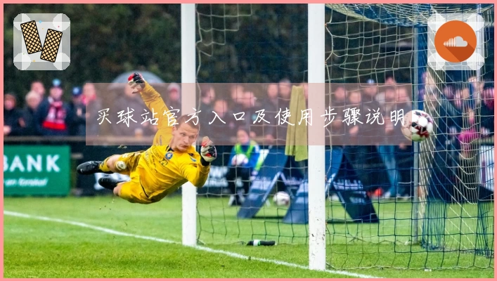 买球站官方入口及使用步骤说明