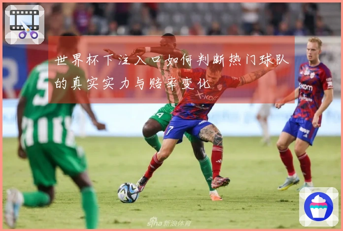 世界杯下注入口如何判断热门球队的真实实力与赔率变化
