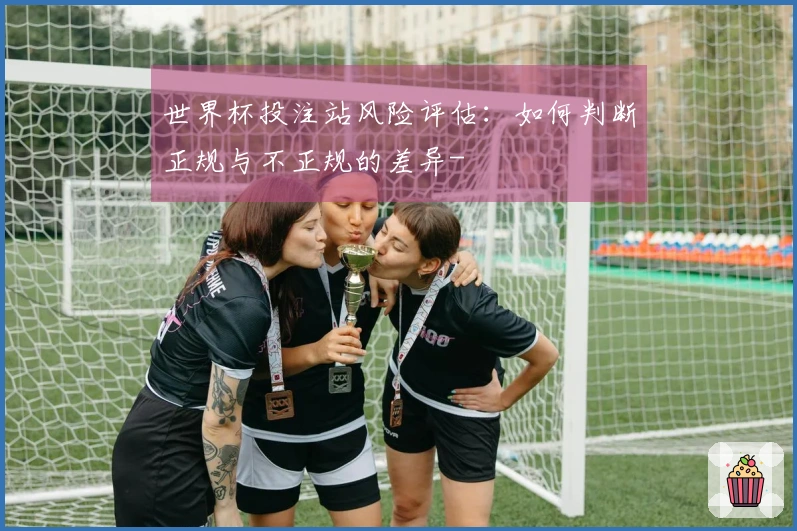 世界杯投注站风险评估：如何判断正规与不正规的差异-