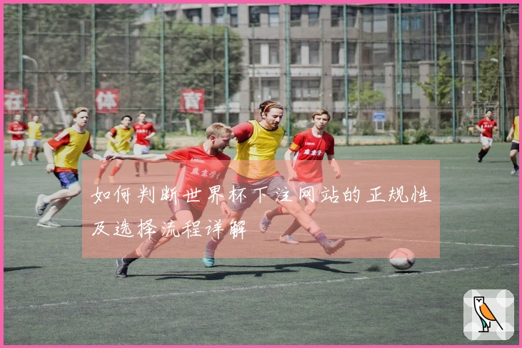 如何判断世界杯下注网站的正规性及选择流程详解