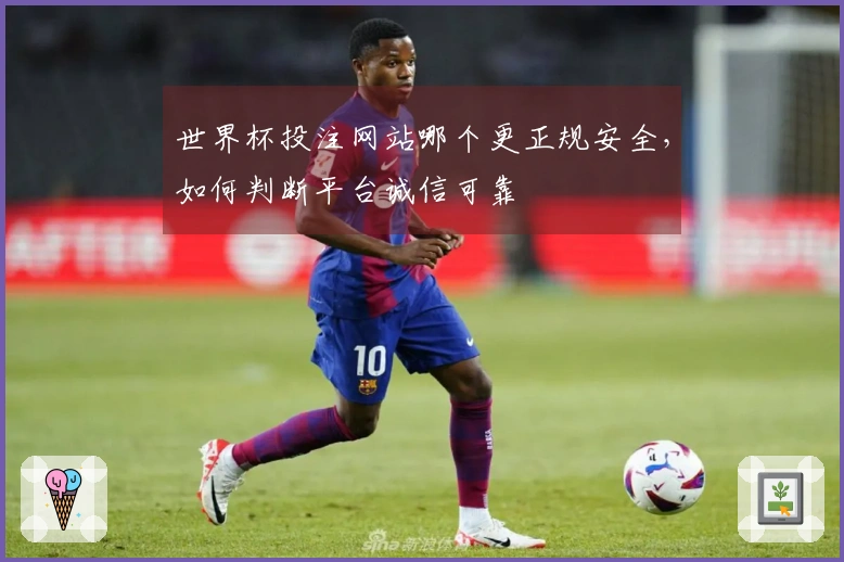 世界杯投注网站哪个更正规安全，如何判断平台诚信可靠