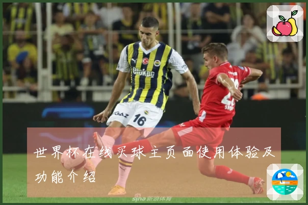 世界杯在线买球主页面使用体验及功能介绍