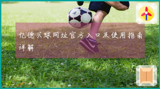 亿德买球网址官方入口及使用指南详解
