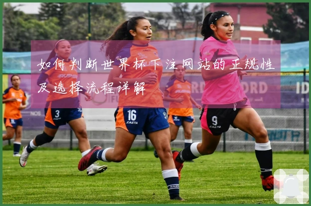 如何判断世界杯下注网站的正规性及选择流程详解