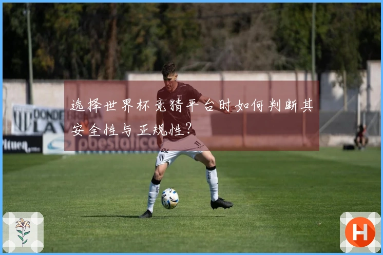 选择世界杯竞猜平台时如何判断其安全性与正规性？