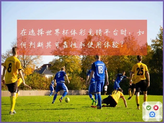 在选择世界杯体彩竞猜平台时，如何判断其可靠性和使用体验？