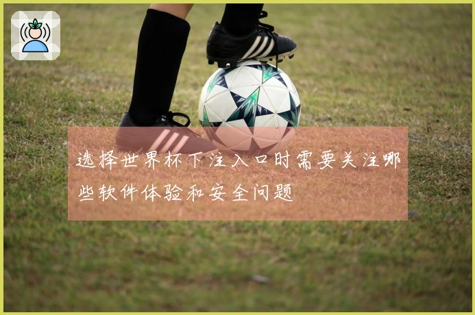 选择世界杯下注入口时需要关注哪些软件体验和安全问题