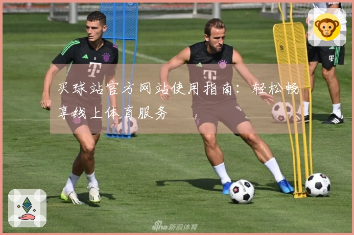 买球站官方网站使用指南：轻松畅享线上体育服务