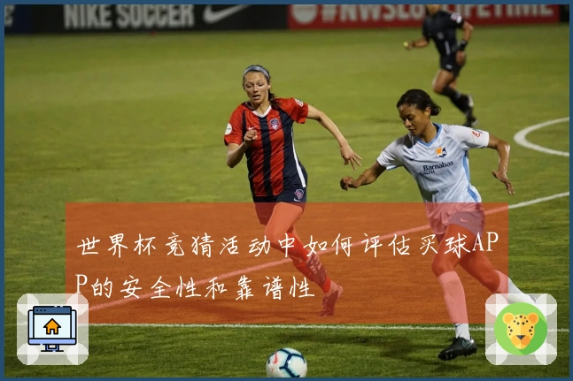 世界杯竞猜活动中如何评估买球APP的安全性和靠谱性