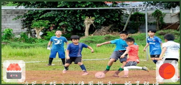 沙巴买球主站使用指南：畅享极速访问体验与平台功能介绍