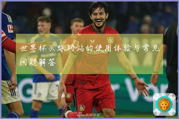 世界杯买球网站的使用体验与常见问题解答