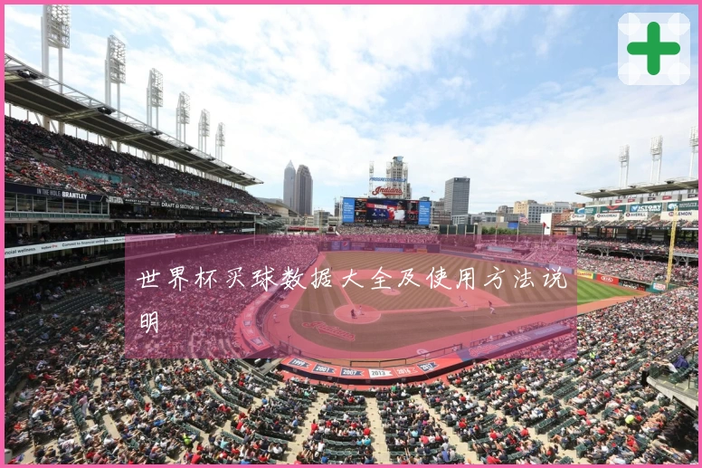 世界杯买球数据大全及使用方法说明