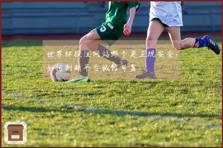 世界杯投注网站哪个更正规安全，如何判断平台诚信可靠