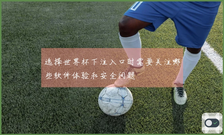 选择世界杯下注入口时需要关注哪些软件体验和安全问题